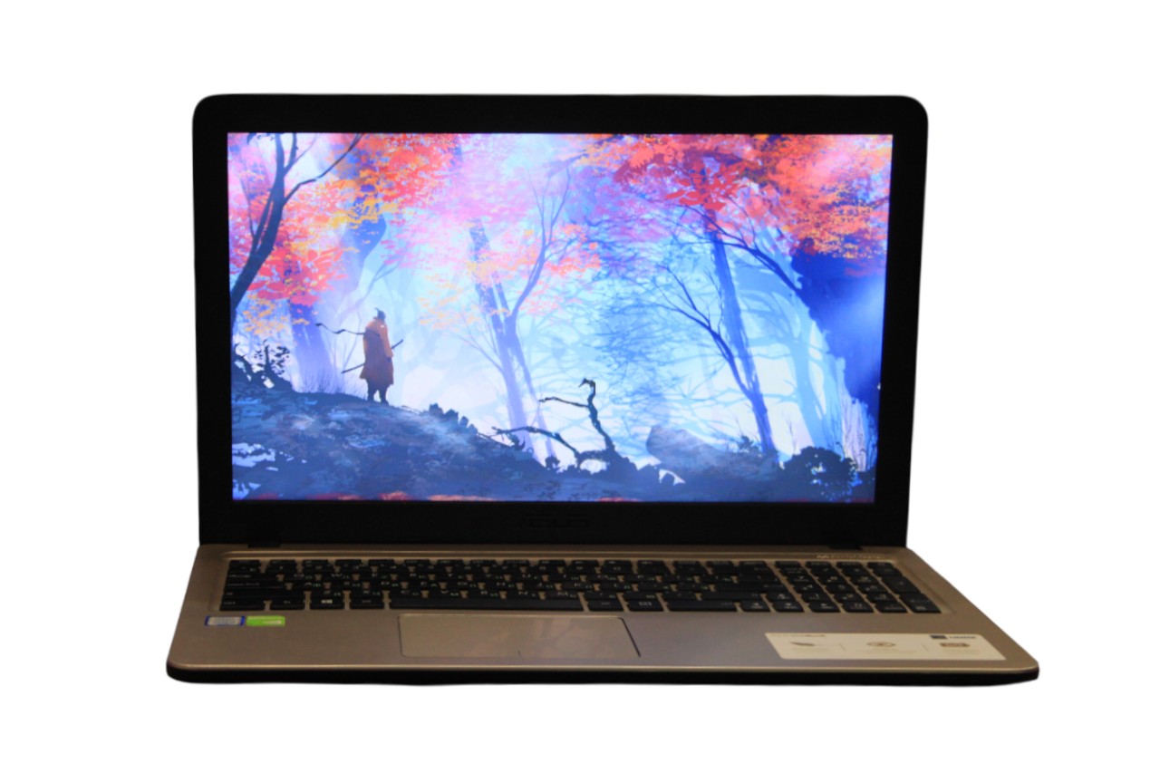 Asus VivoBook F540U