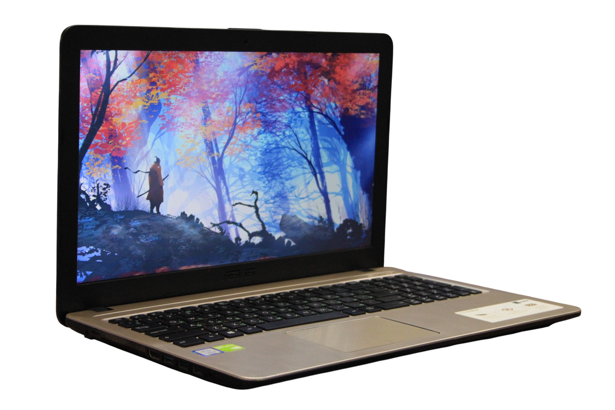Asus VivoBook F540U
