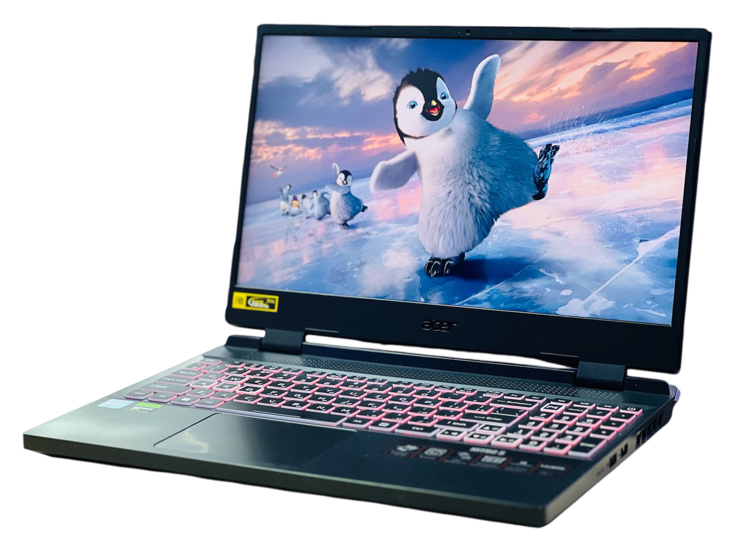 Acer Nitro 5 AN515-58-74PS