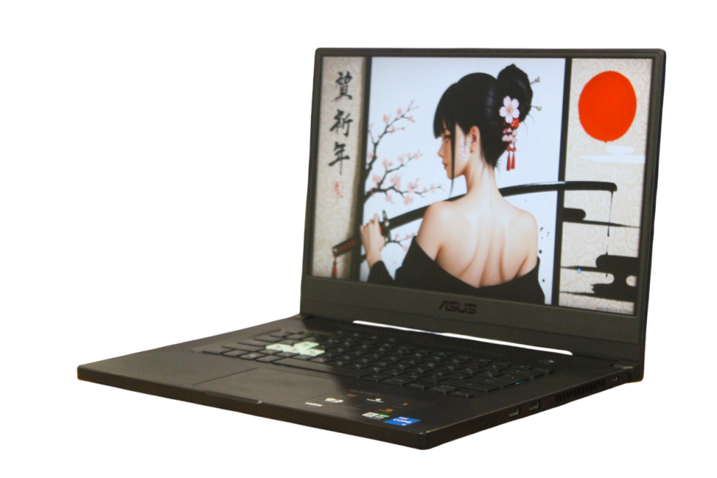 Asus FX516PM-HN015T