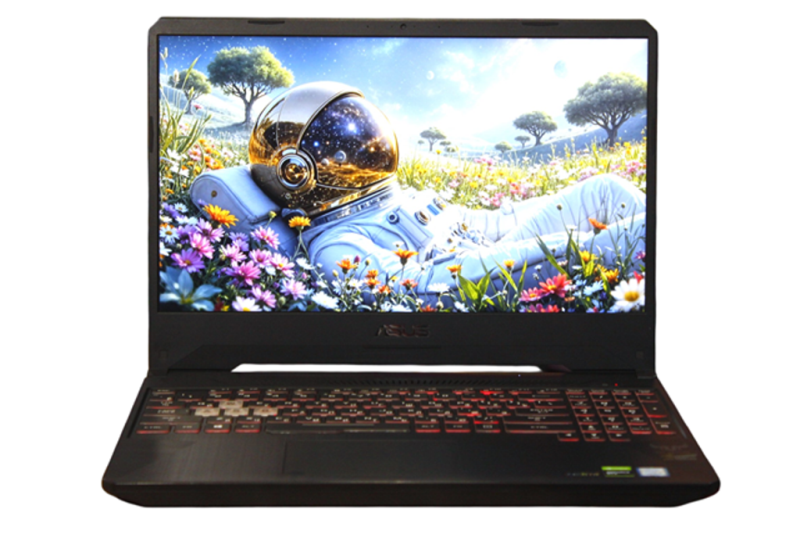 ASUS FX95GT9300-0D8AXHA4X10