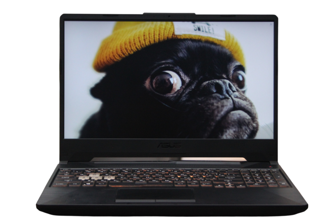 Asus TUF Gaming FA506QM-0DAEXHA6X10 (Р)