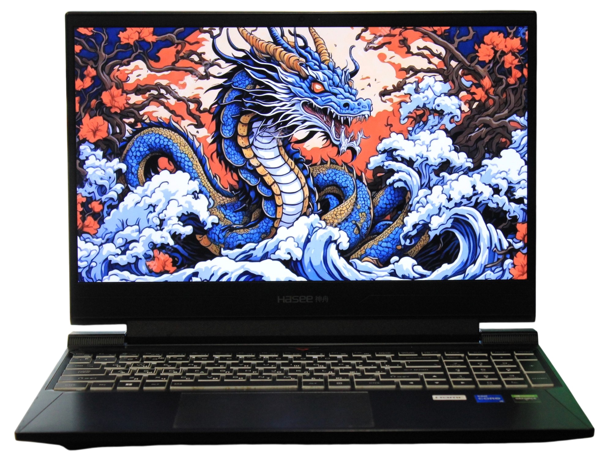 Ноутбук Hasee S8-DA5NS