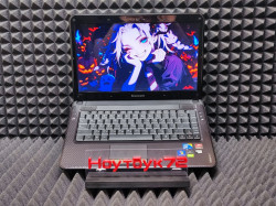 Ноутбук Lenovo IdeaPad U450p 20031