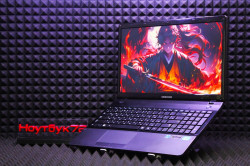 Ноутбук Samsung NP300E5X-U01RU1