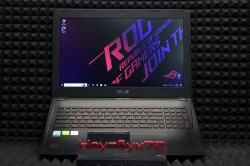 Ноутбук ASUS ROG FX60VM6700