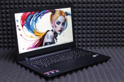 Ноутбук Lenovo ideaPad 110-15ACL (80TJ00D3RK)
