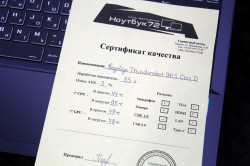 Игровой Ноутбук Thunderobot 911S Core D