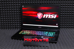 Ноутбук MSI GE73 Raider RGB 8RF-096XRU