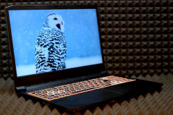 Ноутбук Acer AN515-57-55NY
