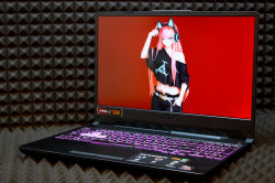 Ноутбук Asus Tuf Gaming FA506NF-HN100