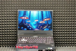 Ноутбук ASUS TUF FX95GT9300-0D8AXHA4X10