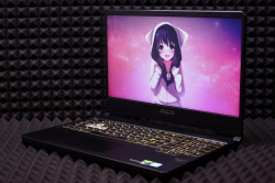 Ноутбук Asus FX95GT9300-0D8AXYA4X10
