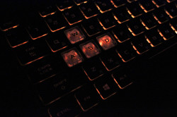 Ноутбук Asus Tuf Gaming FX86F 9560NGW JCNRV01R3150E