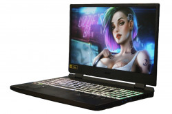 Acer Nitro 5 An515-46-R03R