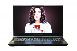 Игровой Ноутбук Thunderobot 911 MT Pro D