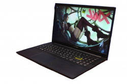 Asus VivoBook F513E-BQ077T