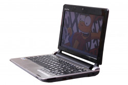 Нетбук Acer (eMachines) M250.