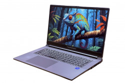 Ноутбук Thunderobot 911 Plus X