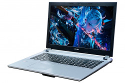 Ноутбук DNS 54R-NH5KB2-2404 XF