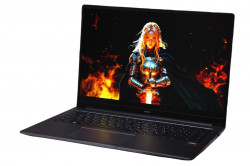 Honor MagicBook X16 Plus (BRI-721)