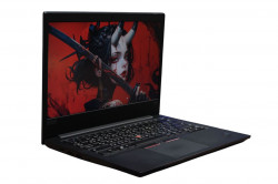 Ноутбук Lenovo ThinkPad T495