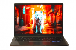 Honor MagicBook X14 FRI-F58