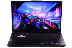 Asus Tuf Gaming F17/i5-12500H/3050/16/512