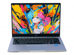 Honor MagiсBook X14 (GDG-X)