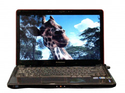 Lenovo Ideapad Y450 20020