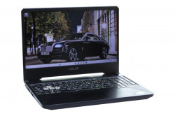 Ноутбук Asus FX95GT9300-0D8AXYA4X10