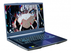MSI Thin 15 B13VE-265XRU