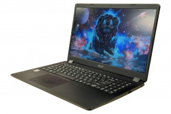 Ноутбук Acer A315-56-313U