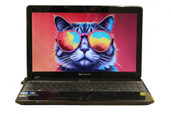 Packard Bell EasyNote TV11HC
