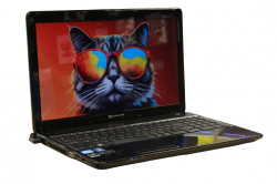 Packard Bell EasyNote TV11HC