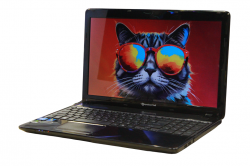 Packard Bell EasyNote TV11HC