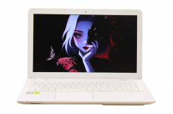 Asus R541UJ-GQ505T