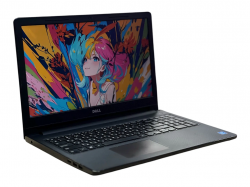 DELL Inspiron 15 (45173)
