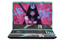 Asus FX95DT3550-0D8CXCA4X10 (P)