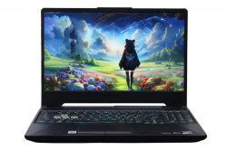 ASUS TUF Gaming F15 FA506IV4800 (P)
