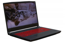 MSI Katana GF66 11UE-406RU