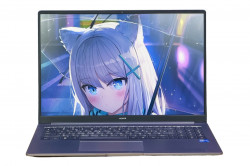 HONOR MagicBook X 16 2024 Born-F5851C