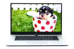 Huawei MateBook D15 BoD-WXX9