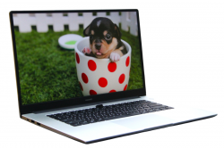 Huawei MateBook D15 BoD-WXX9