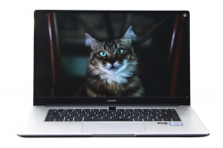 Huawei MateBook D15 BoM-WDQ9 (Р)