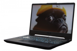 Asus TUF Gaming FA506QM-0DAEXHA6X10 (Р)