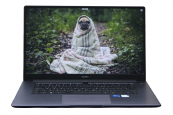 Huawei MateBook D15 BoDE-WDH9 (P)