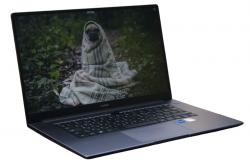 Huawei MateBook D15 BoDE-WDH9 (P)