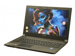 Lenovo B50-30 (593430206) (50л)