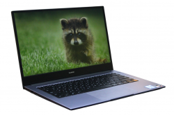 Huawei MateBook D14 Nbl-WAQ9R